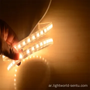 LEDSTRIP عالية الجودة مع خطوط مزدوجة